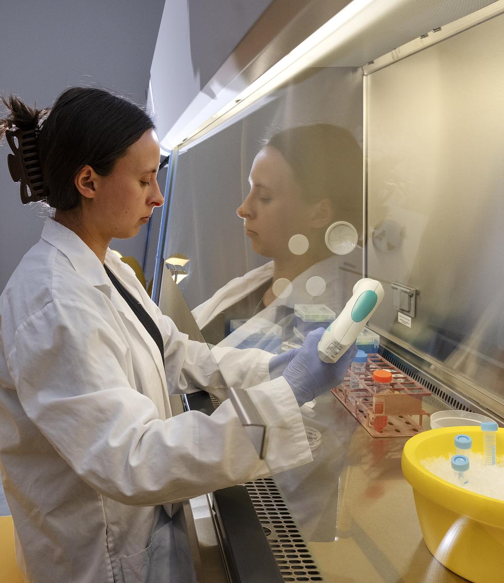 A research student uses pipettes under a chemical hood.