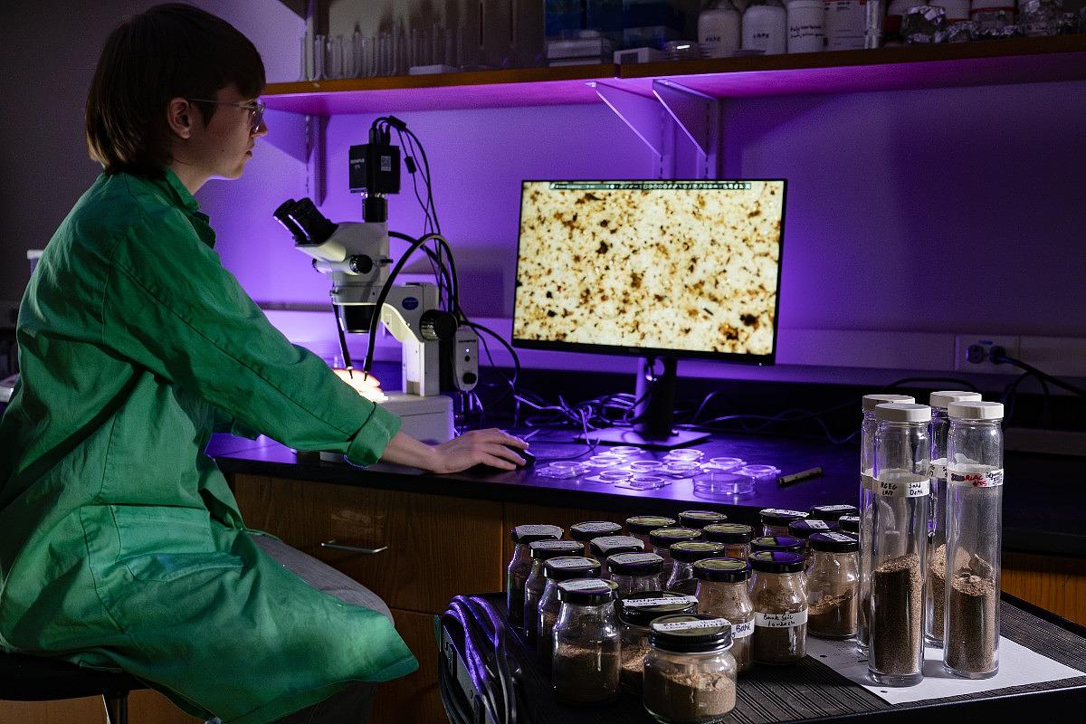 Apodaca building in the sunlight during fall