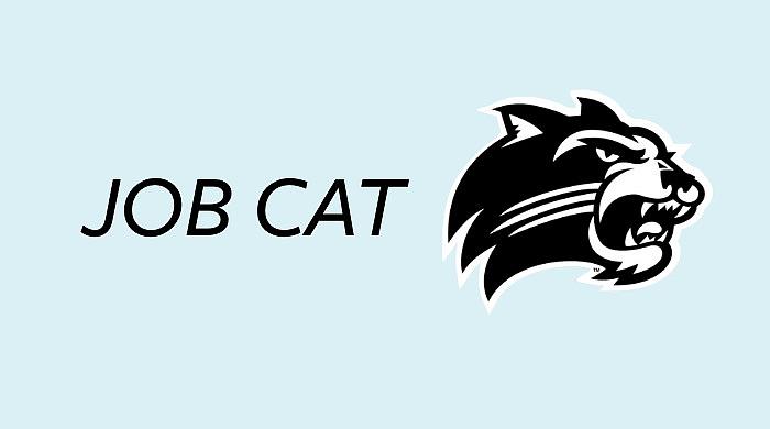 Picture of the homepage of the Job Cat website