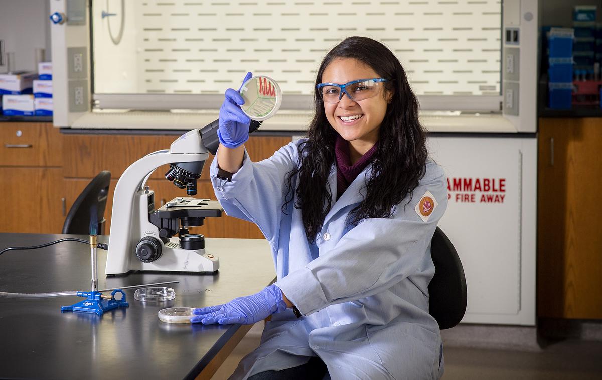 A lab student holds a petri up to let light shine through.