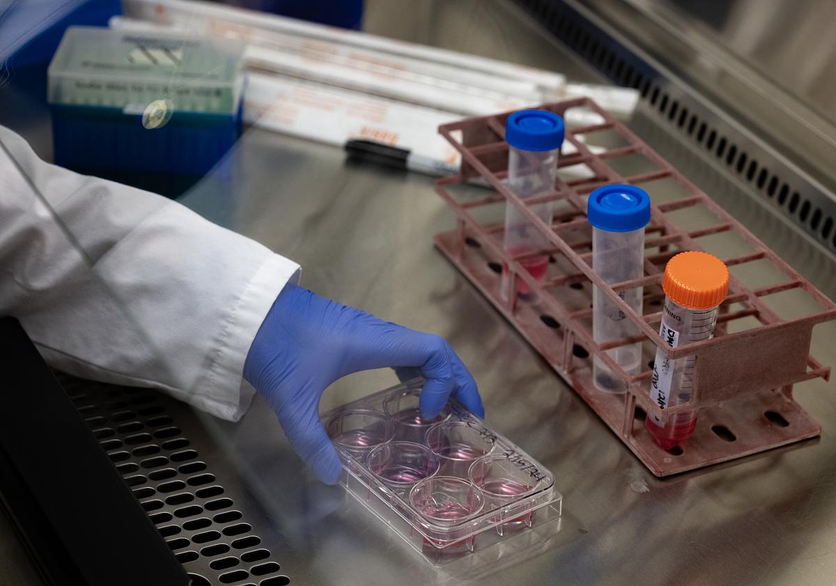Cell and Molecular Biology A gloved hand moves lab material on a table.