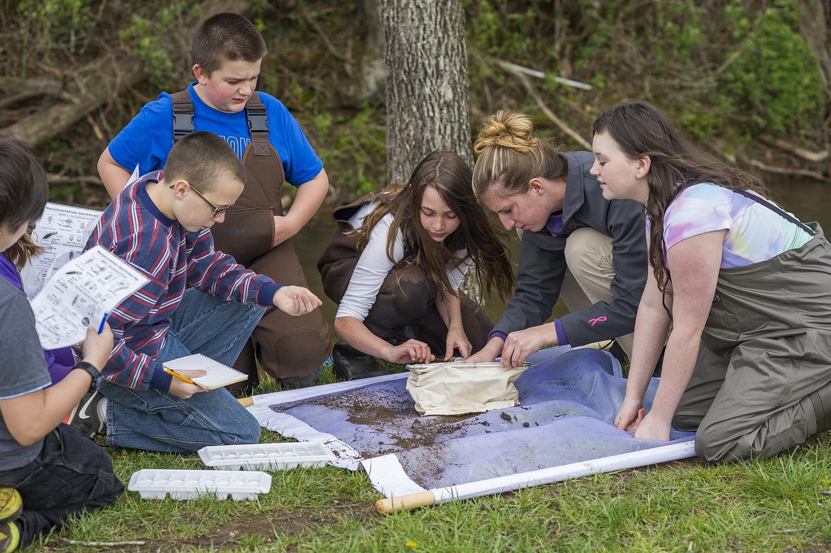An adult and a group of children examine specimens from a creek.
