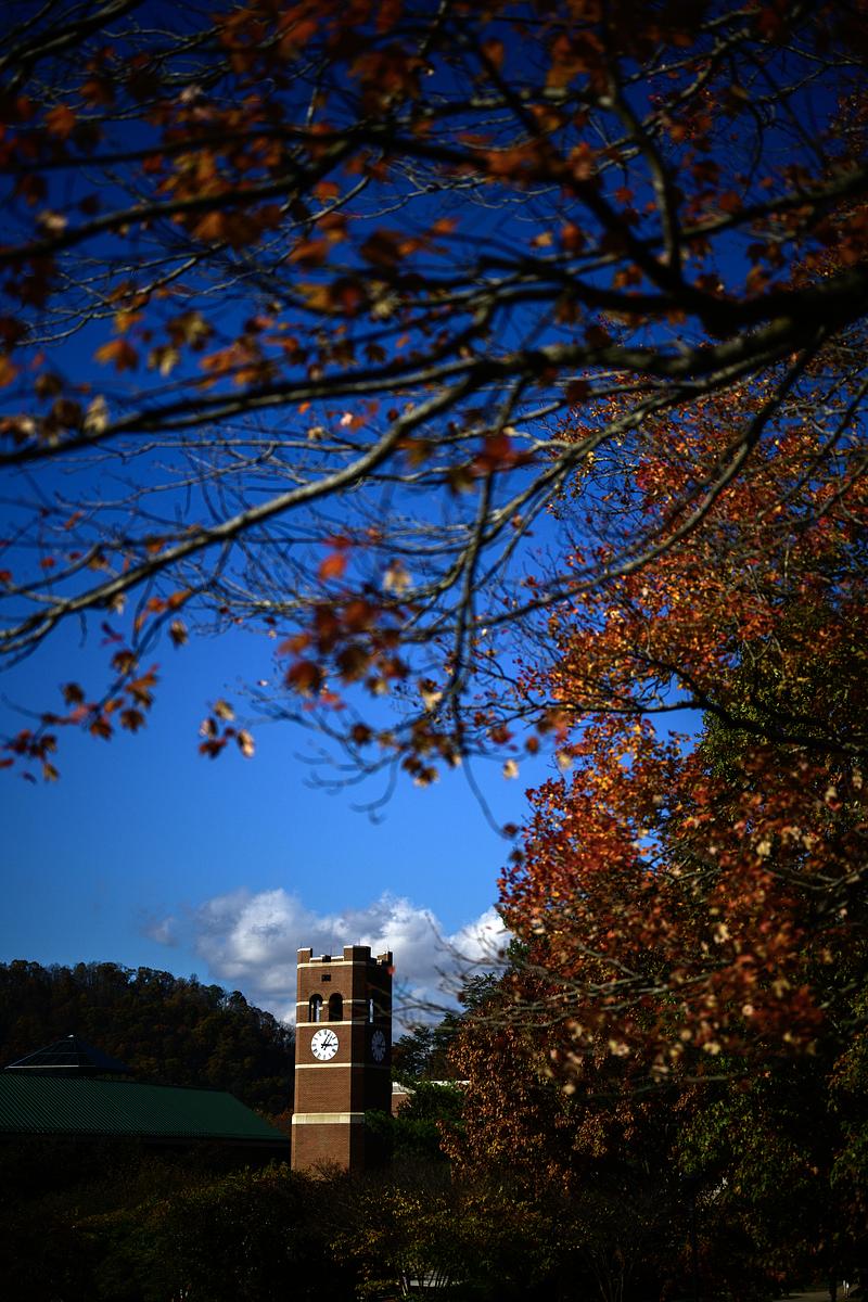 Scene of clock tower with fall leaves