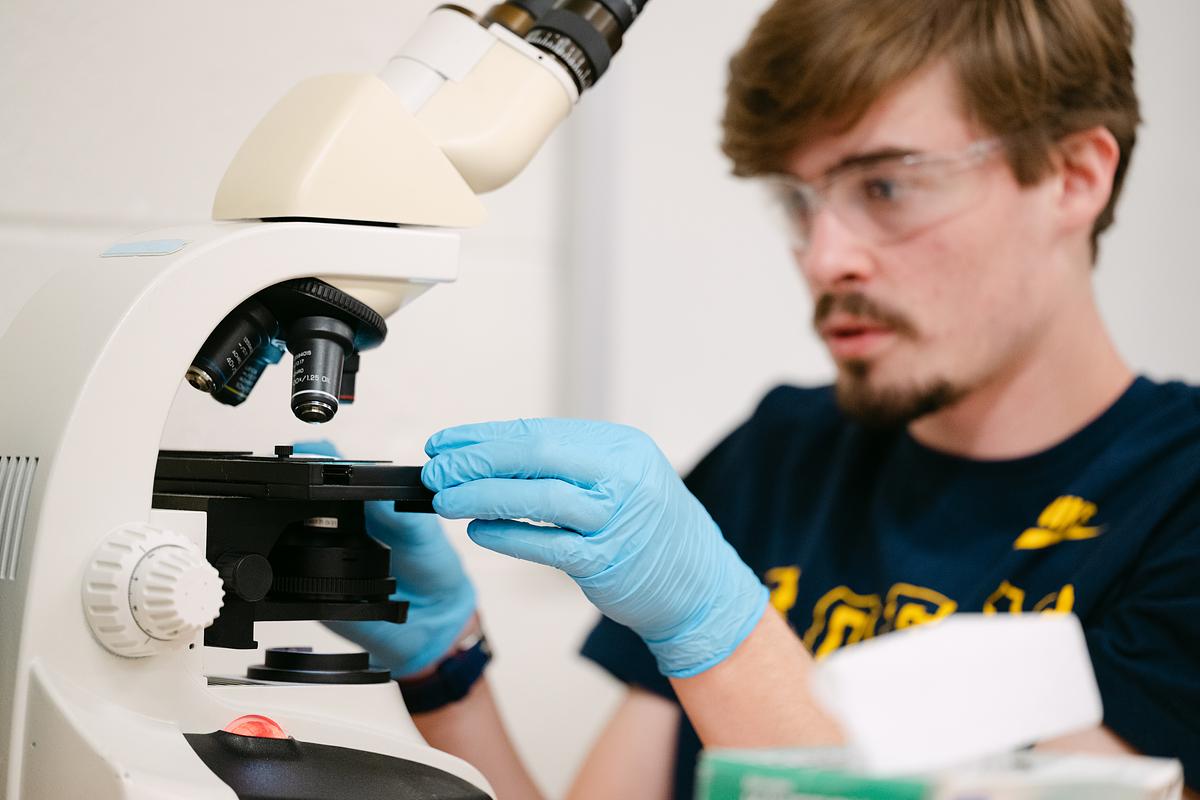 Student looking in Microscope