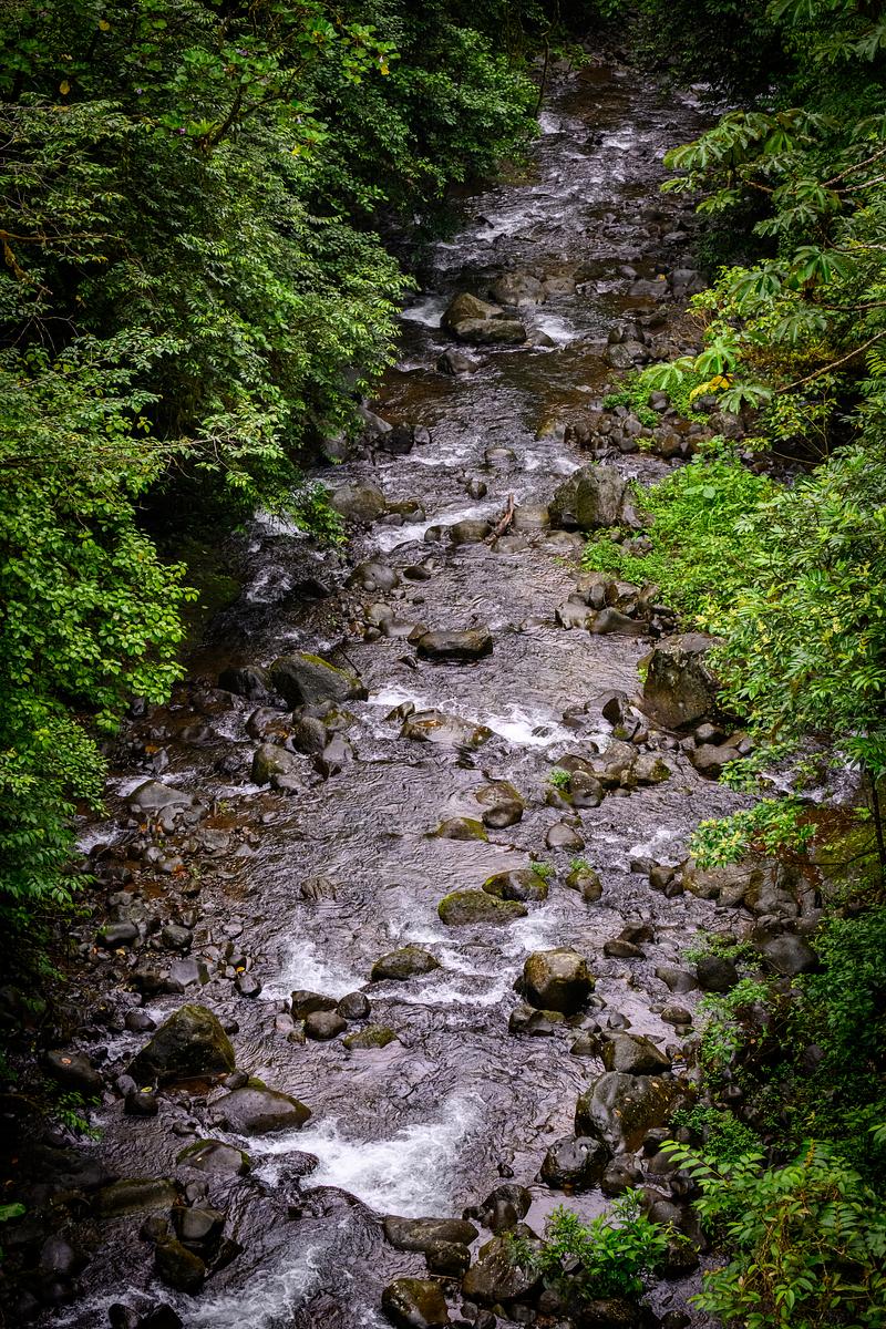 Beautiful running river in Costa Rica
