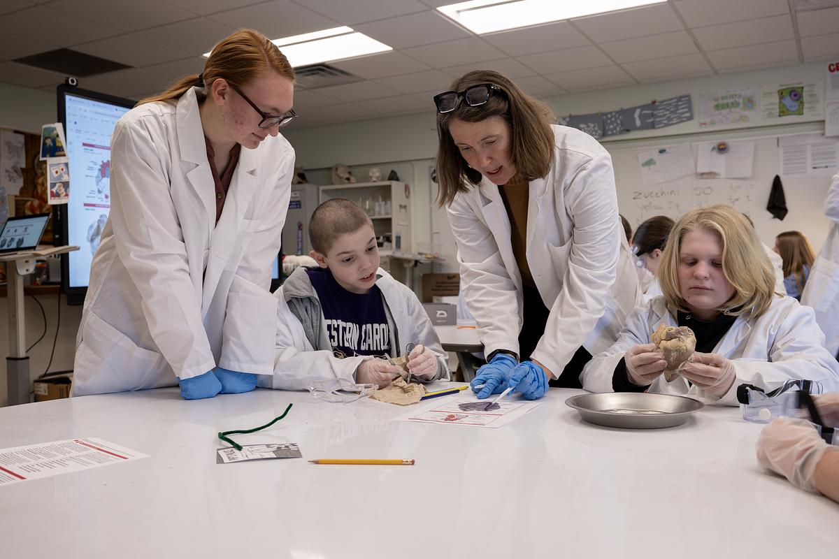 Catamount School classroom