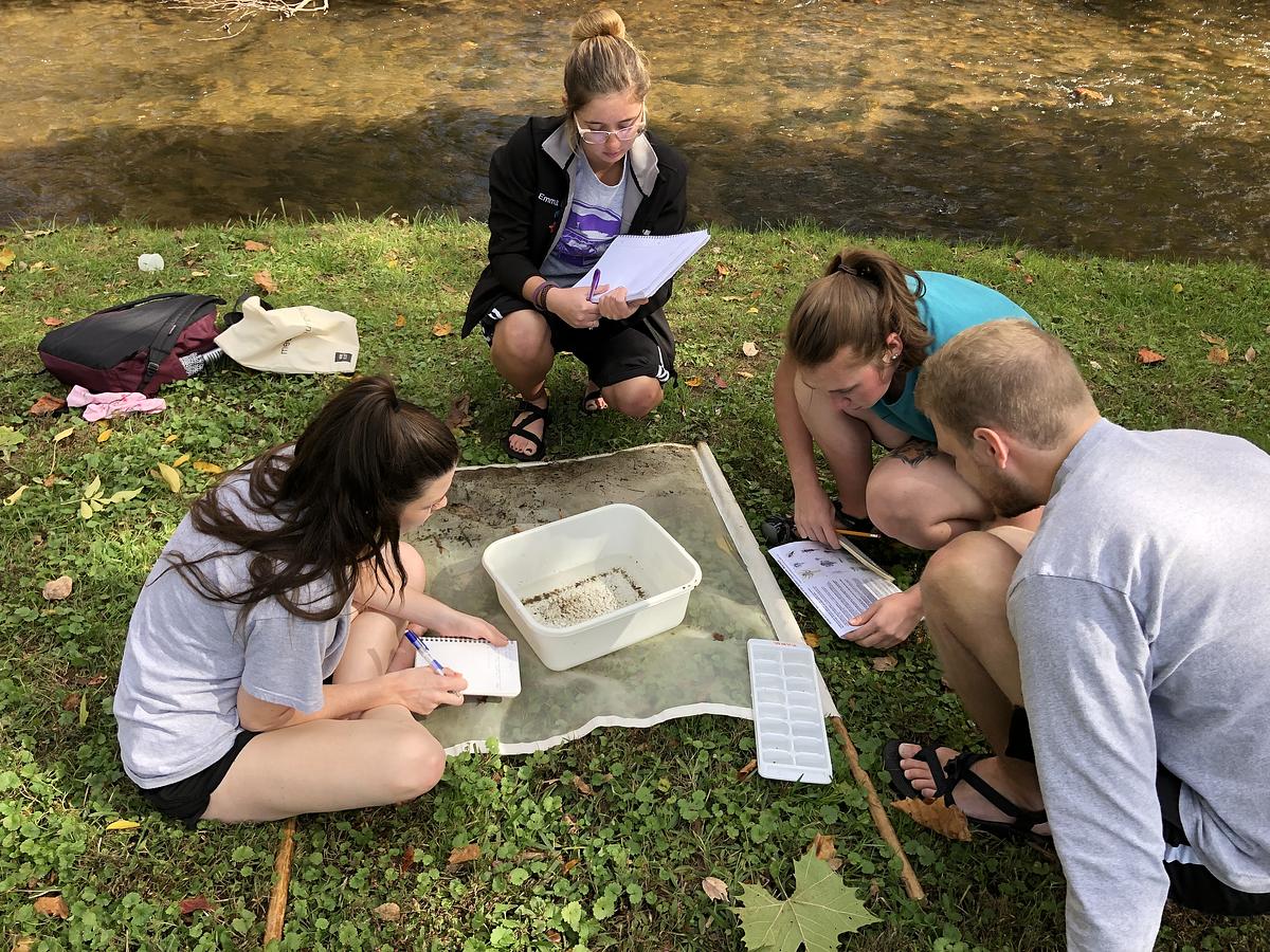 Ecology, Evolution, and Organismal Biology Ecology students examine samples collected from a creek.