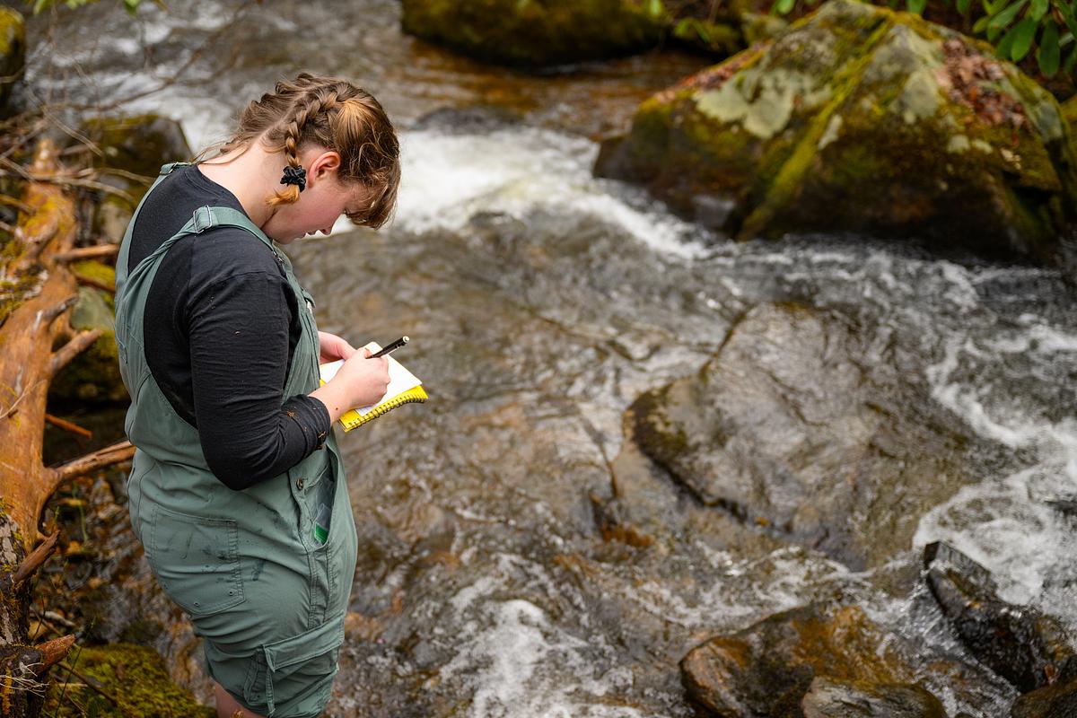 A student stands in a creek, writing notes. 