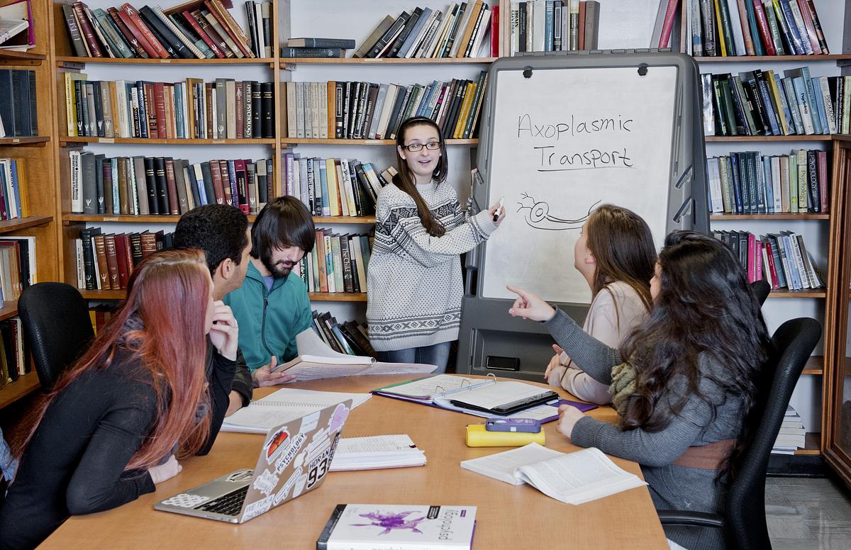 Psychology student presenting work to fellow students around a table