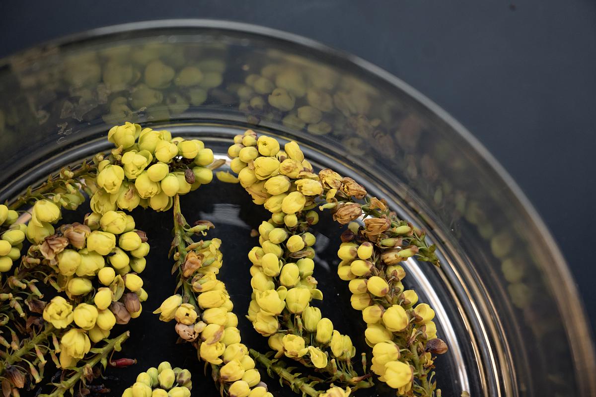 Flower blooms in a glass bowl