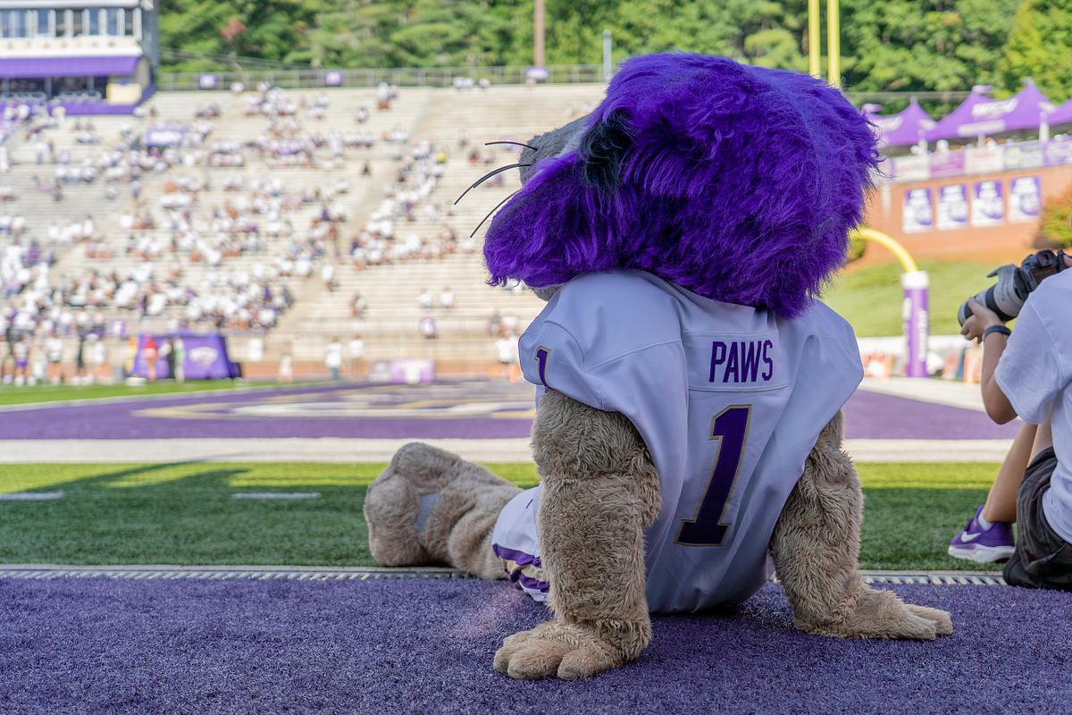 PAWS in stadium