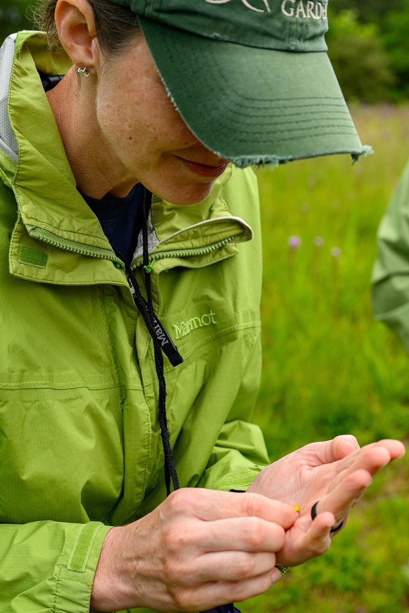 A woman wearing a green rain jacket and a green baseball cap examines a flower bud in her hand.