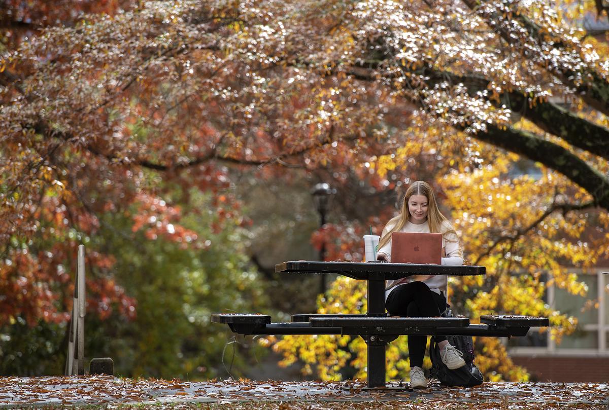 Student working on their computer on a park table in the fall