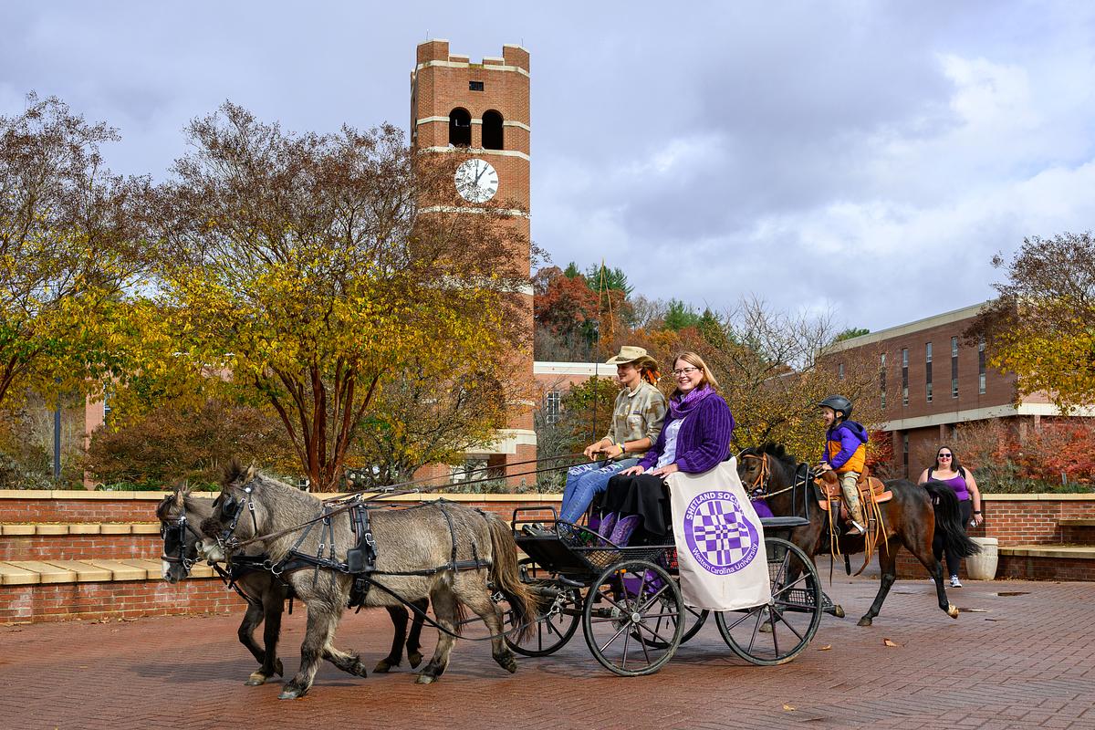 Chancellor Brown riding a horse-pulled carriage around campus
