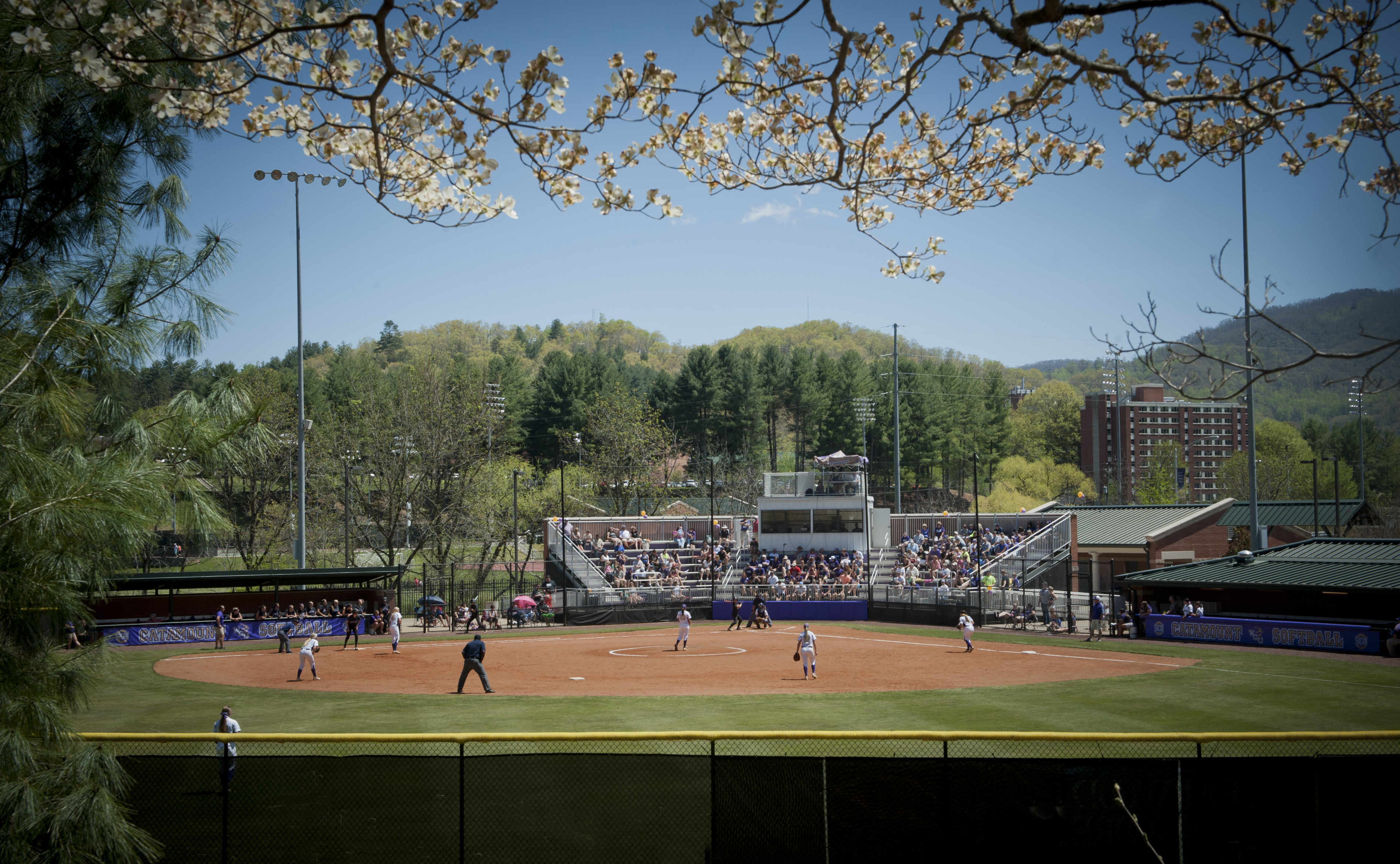 Catamount Softball Complex