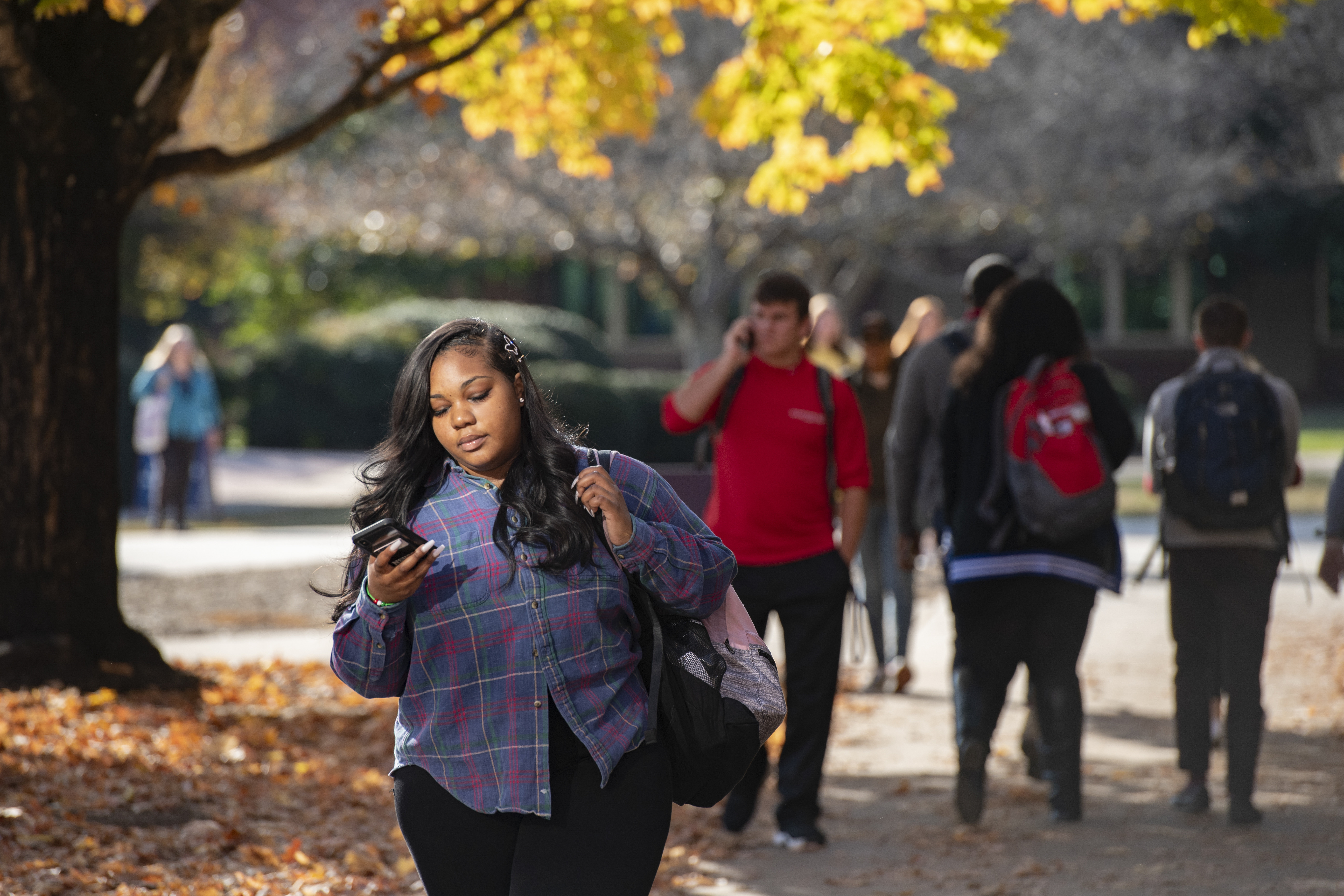 Student walking on campus looking at their phone on a fall day