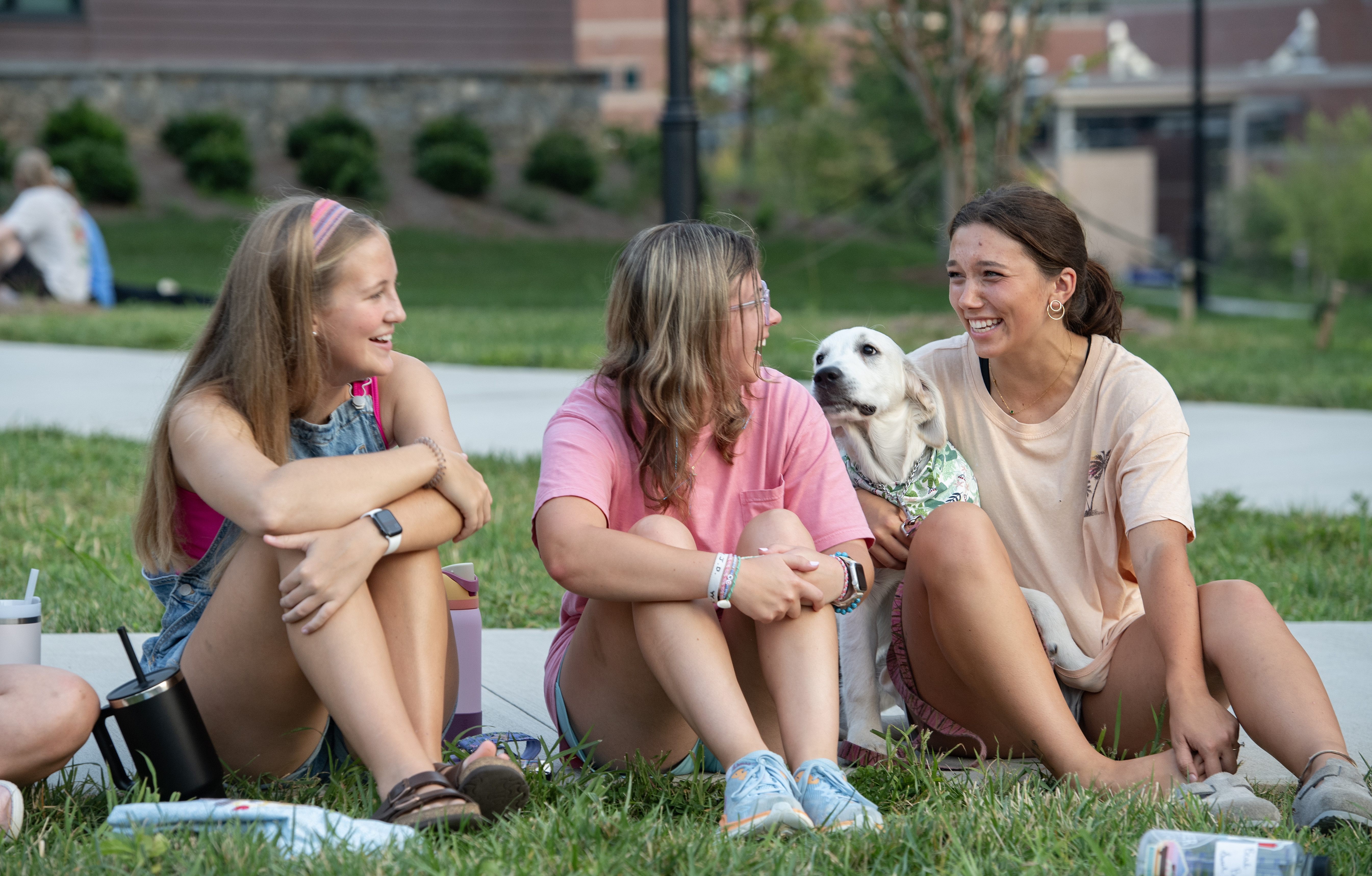 Students chatting on campus