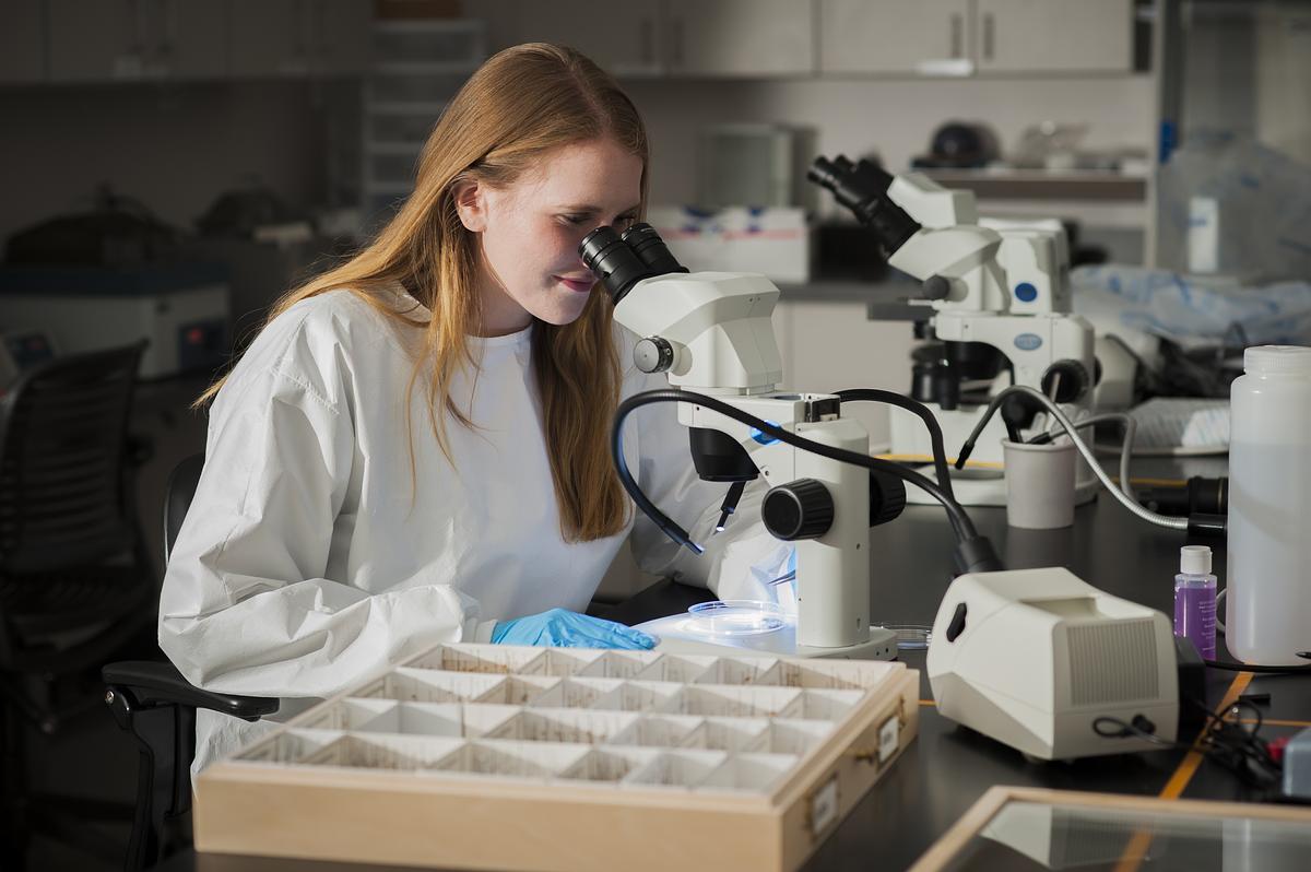 Environmental Health student Marissa Taylor working in a lab with a microscope