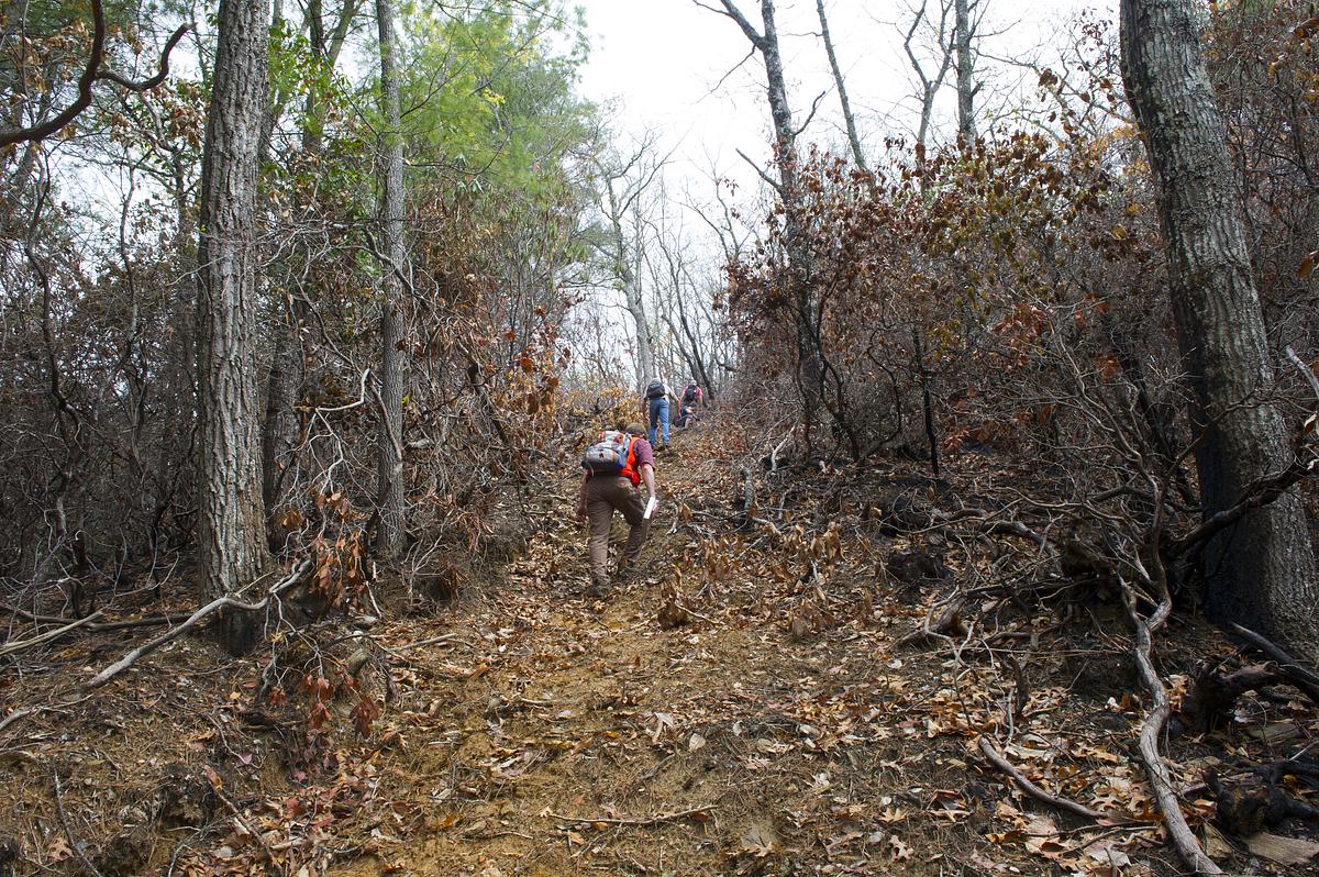 Natural Resources Conservation Management students in the woods hiking up a steep slope