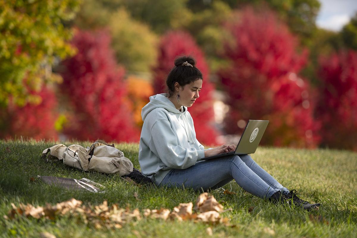 person on hill on laptop (decorative)