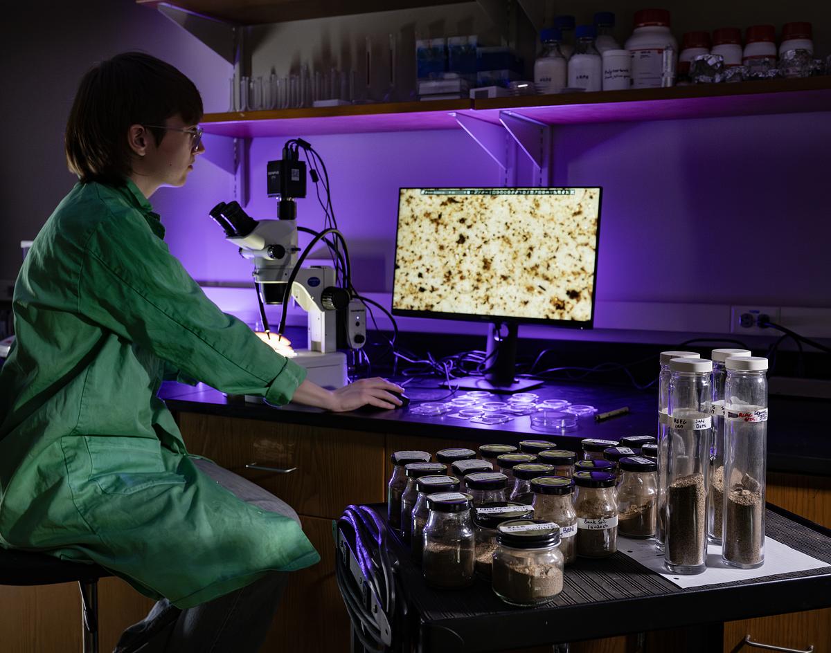 Student observing something under a microscope hooked up to a desktop monitor