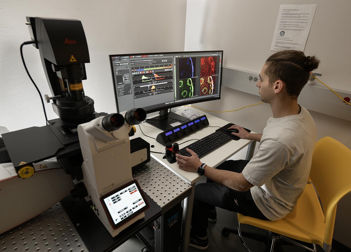 A student looks at a monitor as their sample fluoresces.