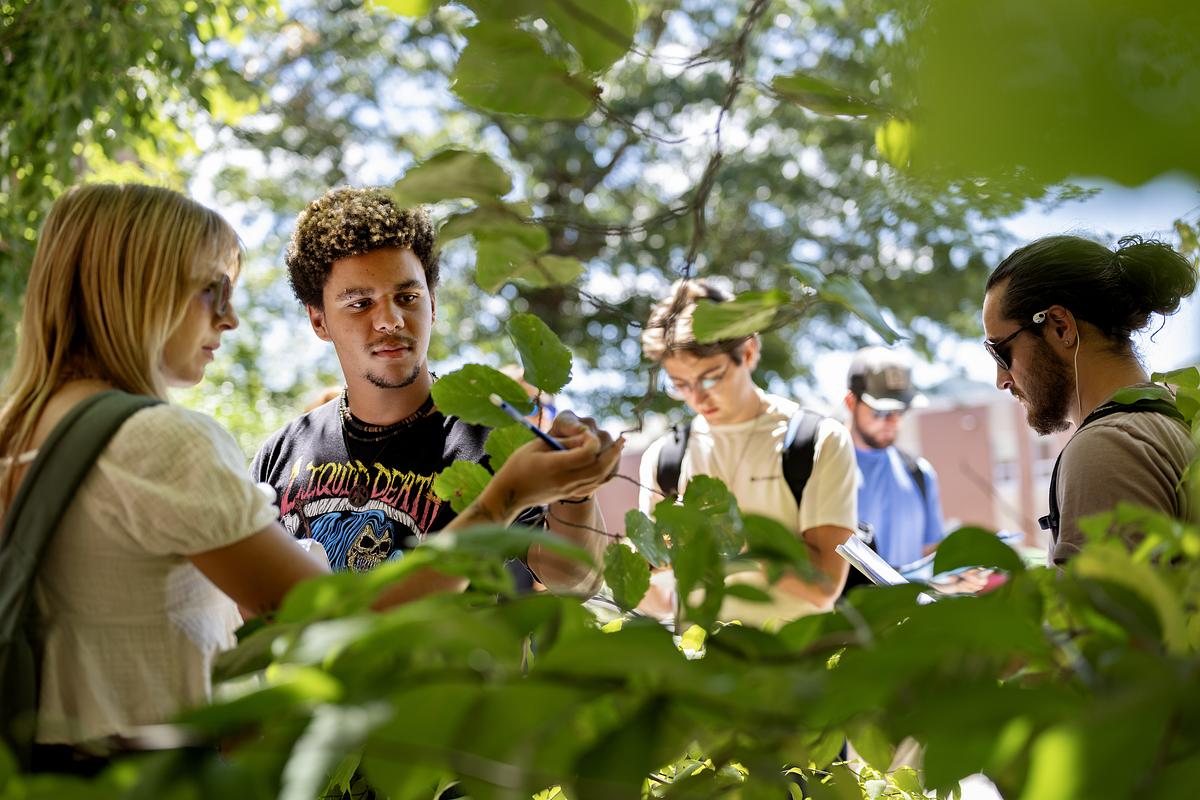 Biology class studying plants