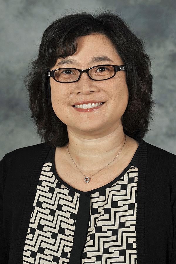 Sur Ah Hahn Ph.D., MSW