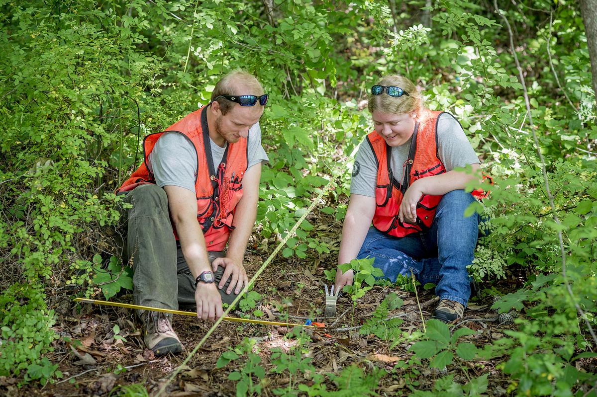 Two people taking measurements of an object on a forest floor
