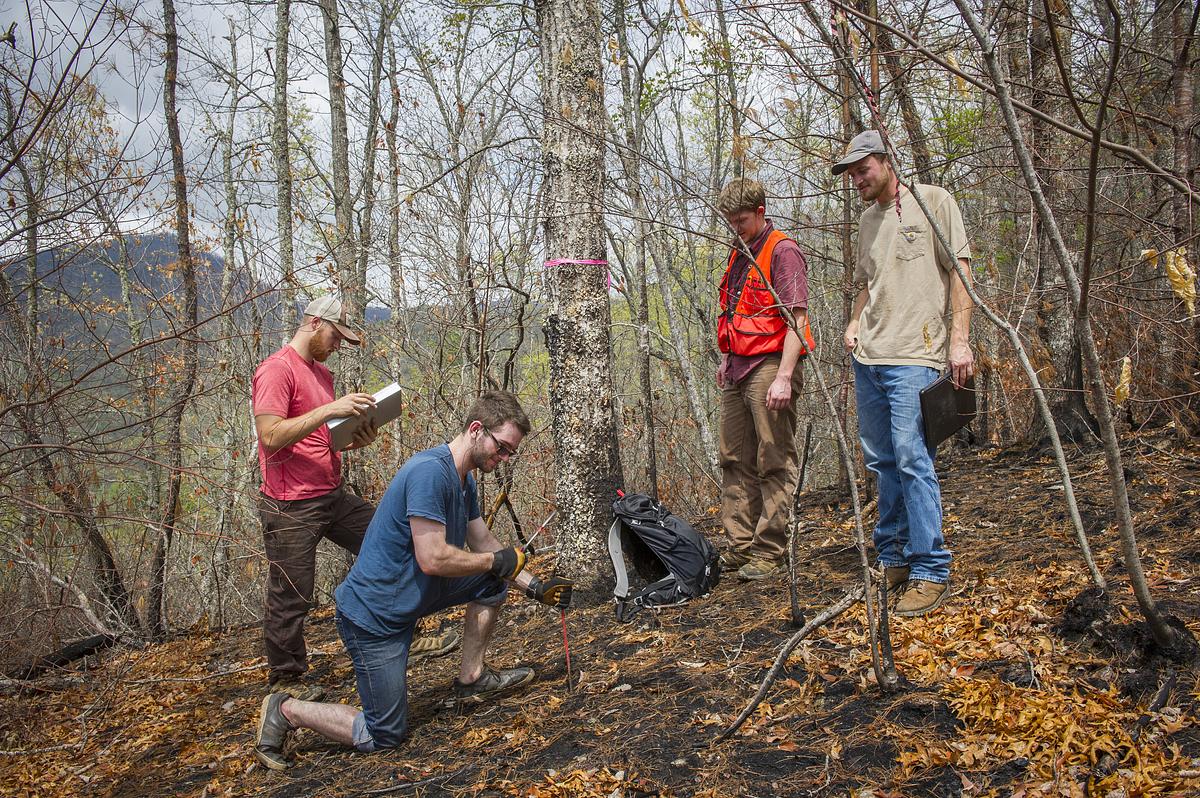 Students outside with protective gear studying an area recently hit by wildfires