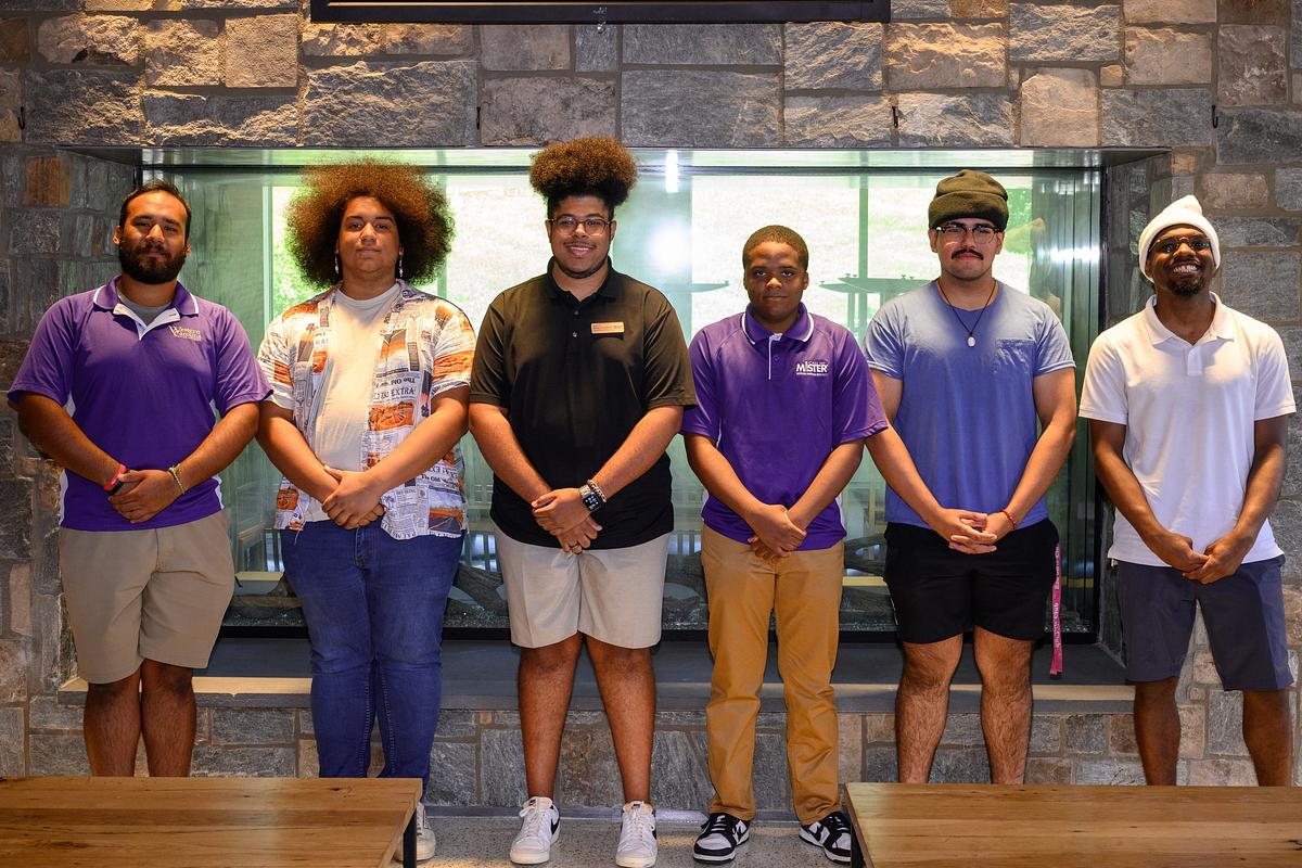 The MiSTERS as a group