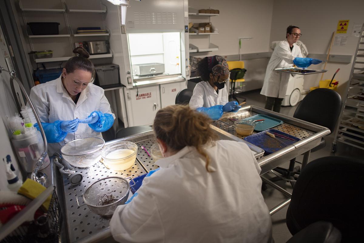 Forensic anthropology students working on various organic elements in a lab together