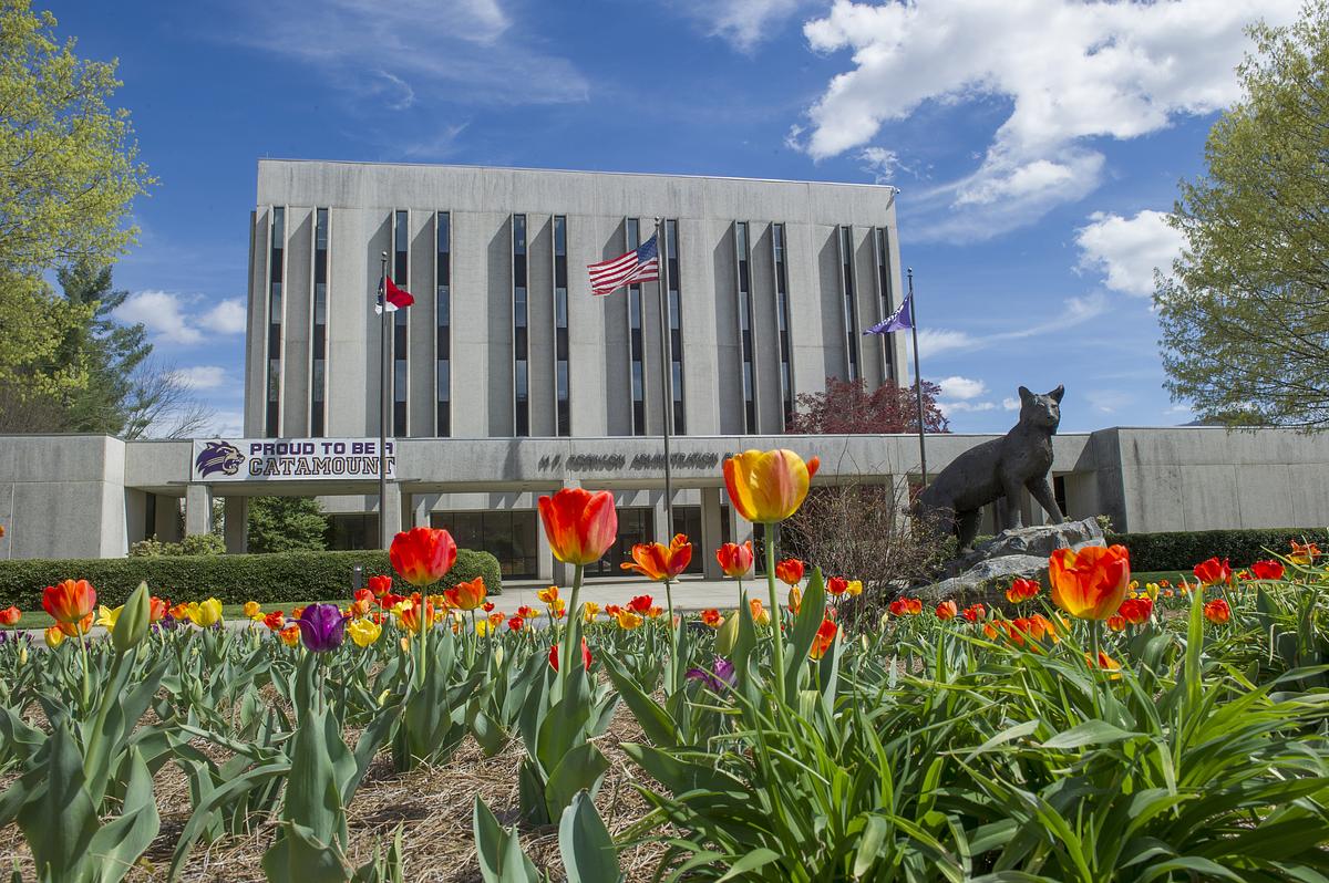 Two students walking around campus with the alumni tower in the background