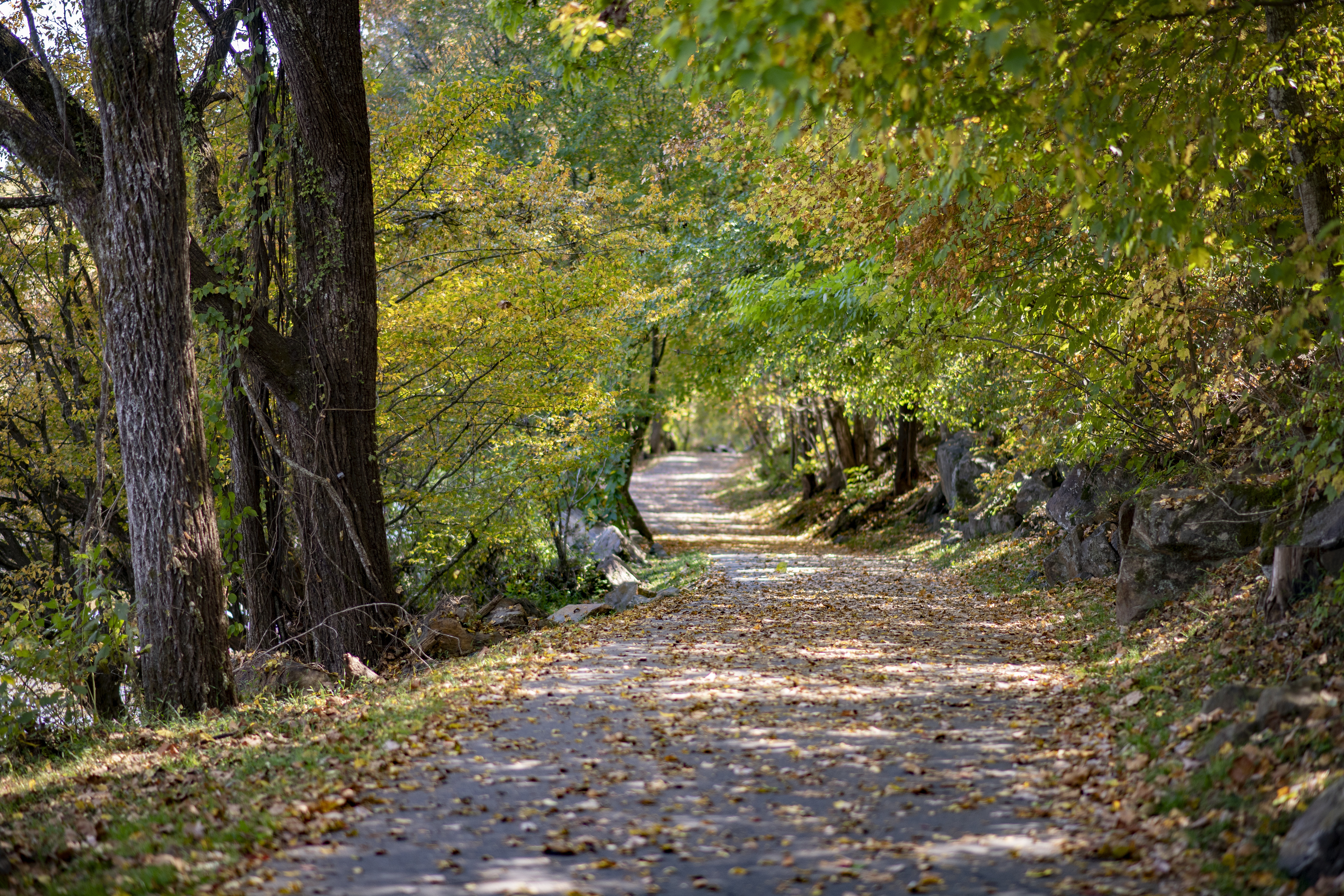 Jackson County Greenway
