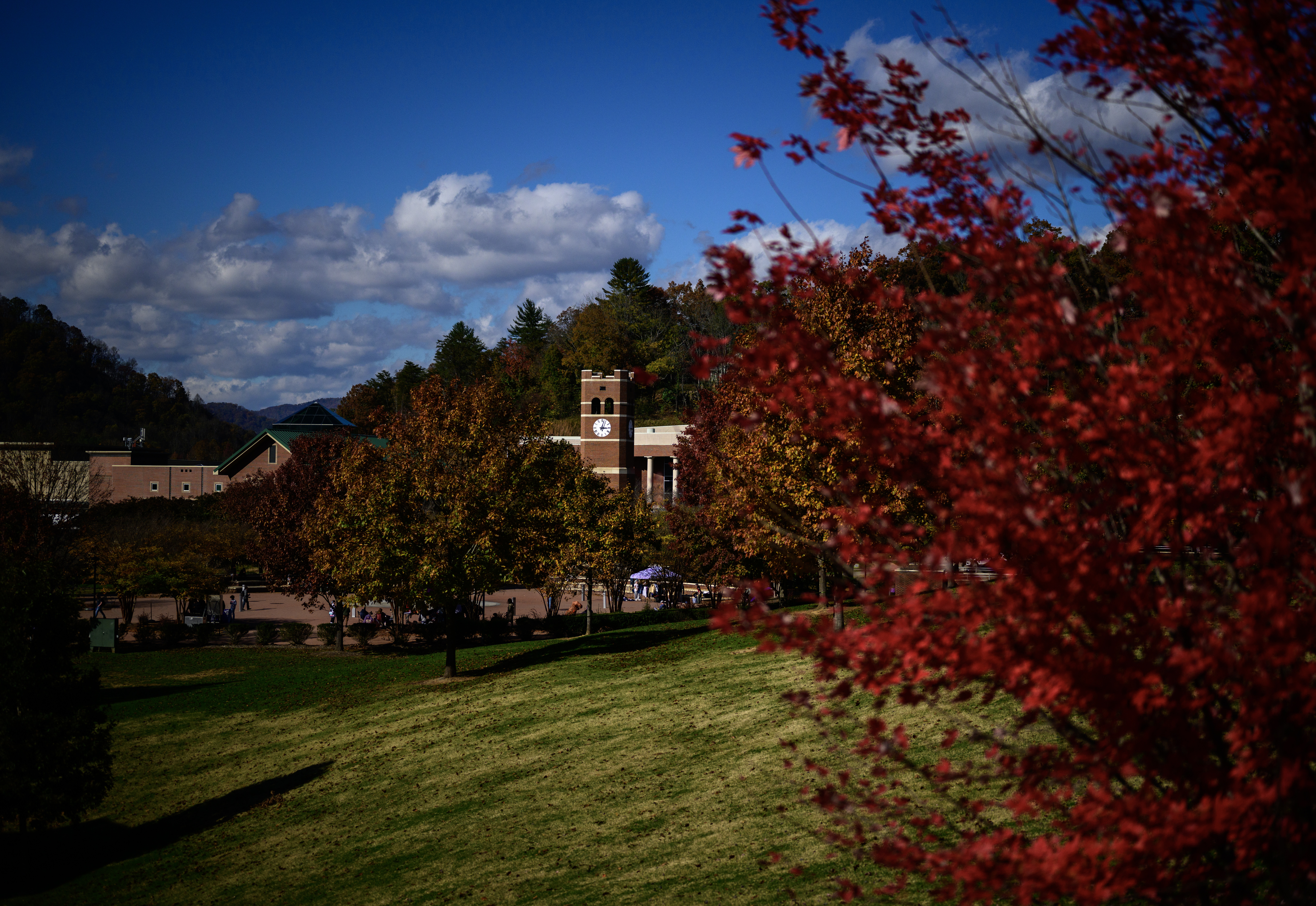 Alumni tower in the distance during the fall