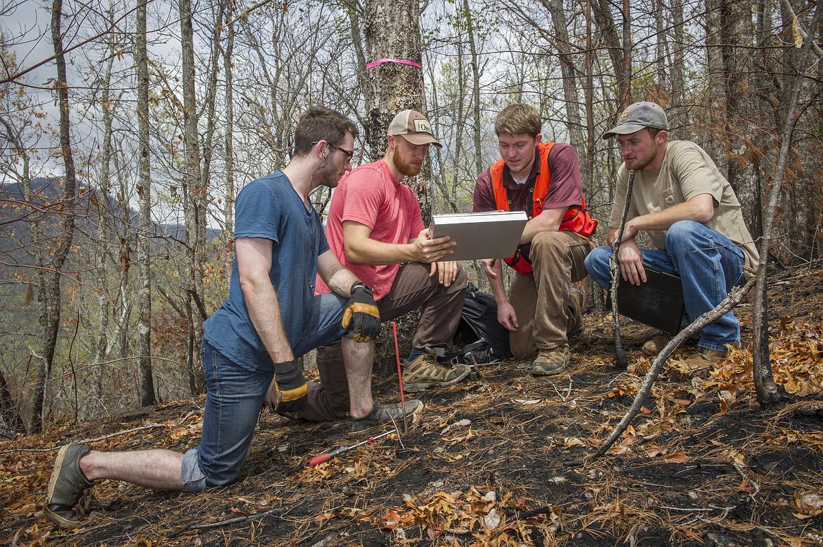 Student collaborating in the field