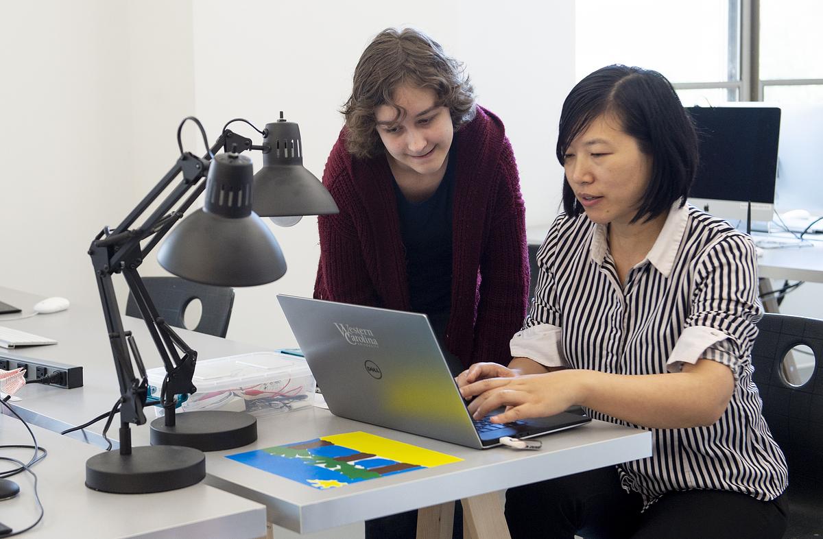 Student and professor working on a laptop together