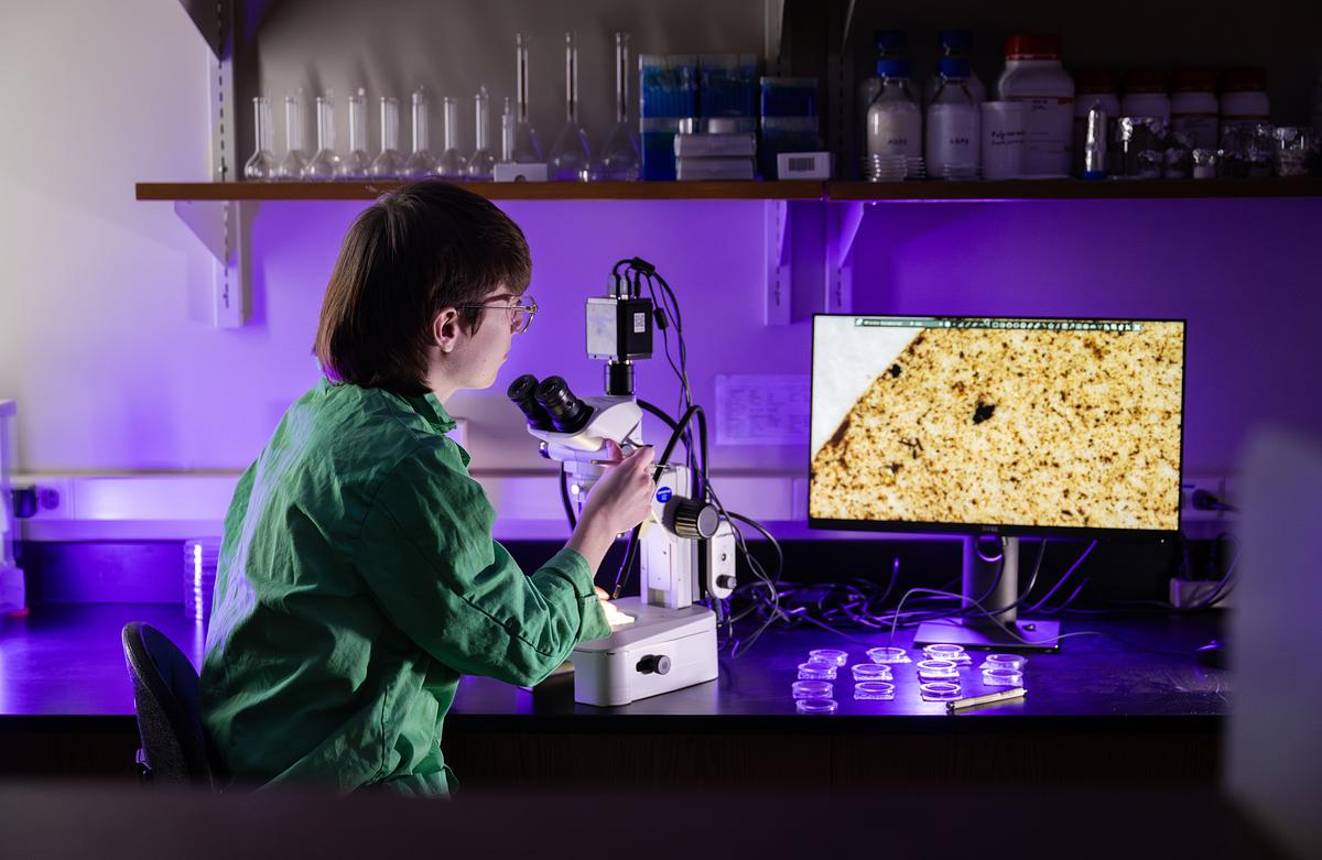 Student working at a microscope as they display content on a computer monitor in a lab