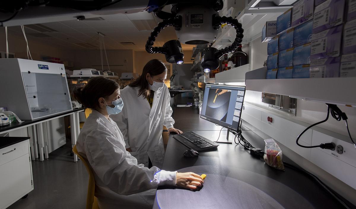 Forensic science students working in a lab together observing an item displayed on a monitor