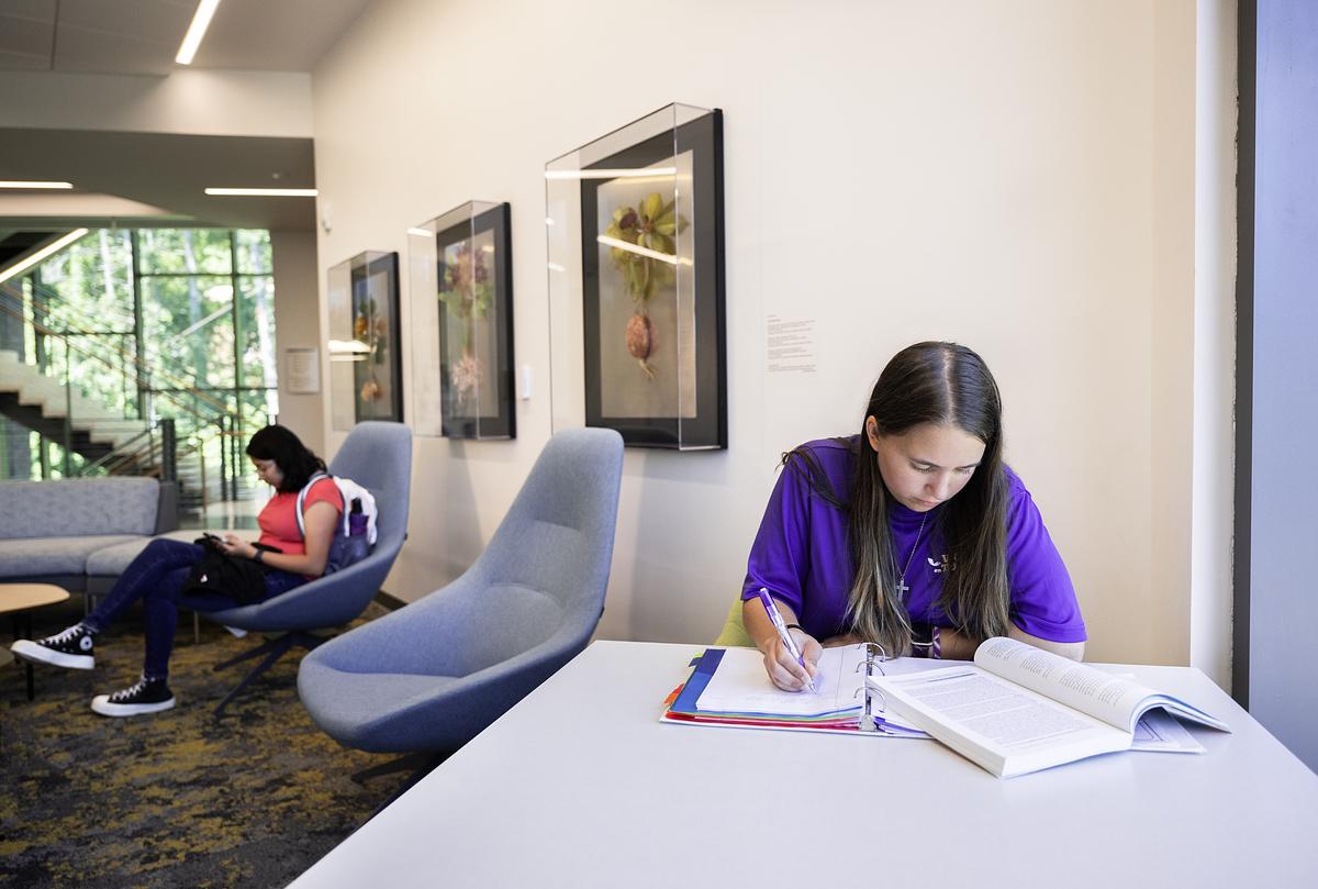 Students studying in a lounge
