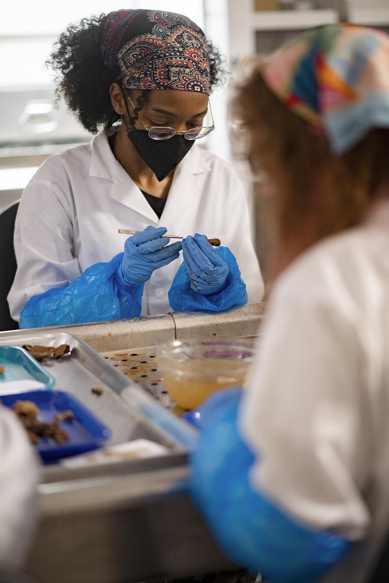 Profesor teaching a class