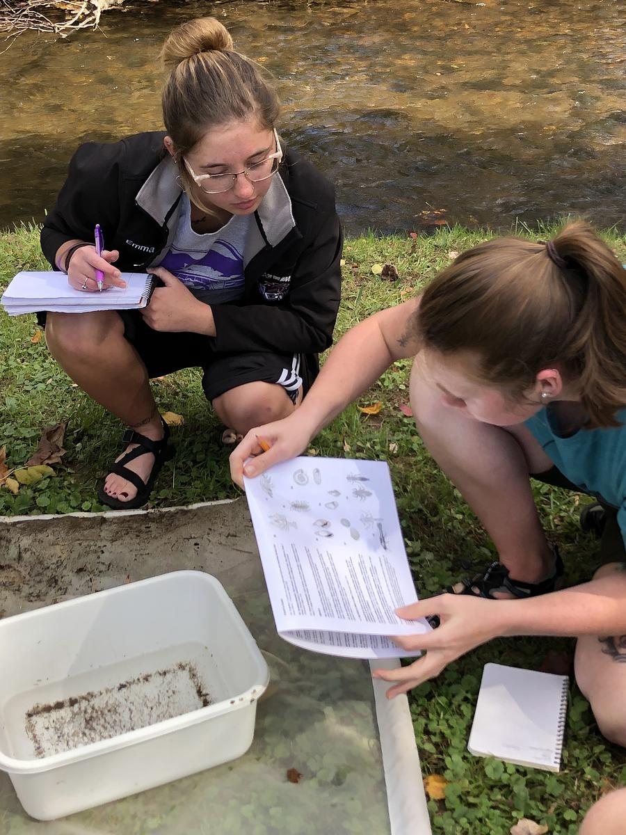 Two students collect aquatic organisms from an outdoor stream.